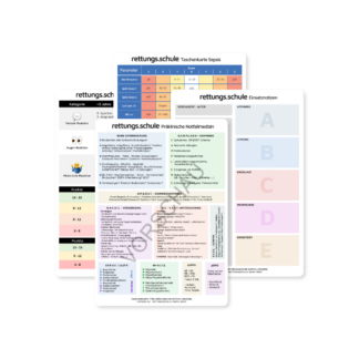 Taschenkarten-SET für Rettungsdienstler - 12 WICHTIGE SCHEMATA wie xABCDE, SAMPLERS, OPQRST, 4H-HITS, uvm.